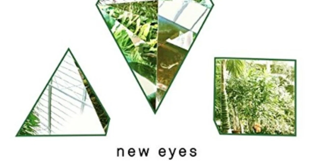 心を奪っていくクリーン・バンディットの音楽：Clean Bandit - New