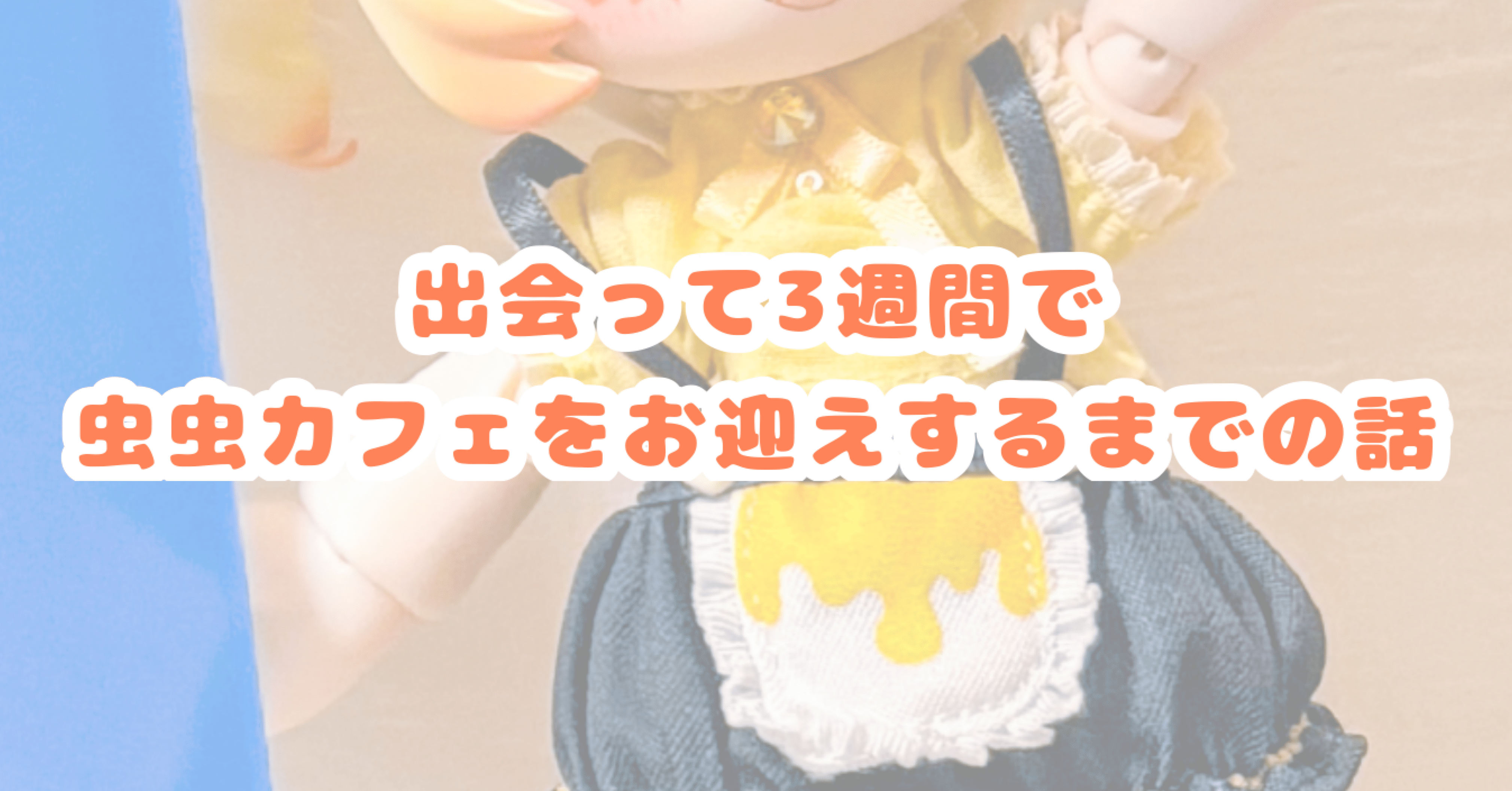 出会って3週間で虫虫カフェをお迎えするまでの話｜MRK