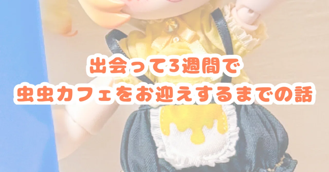 出会って3週間で虫虫カフェをお迎えするまでの話｜MRK