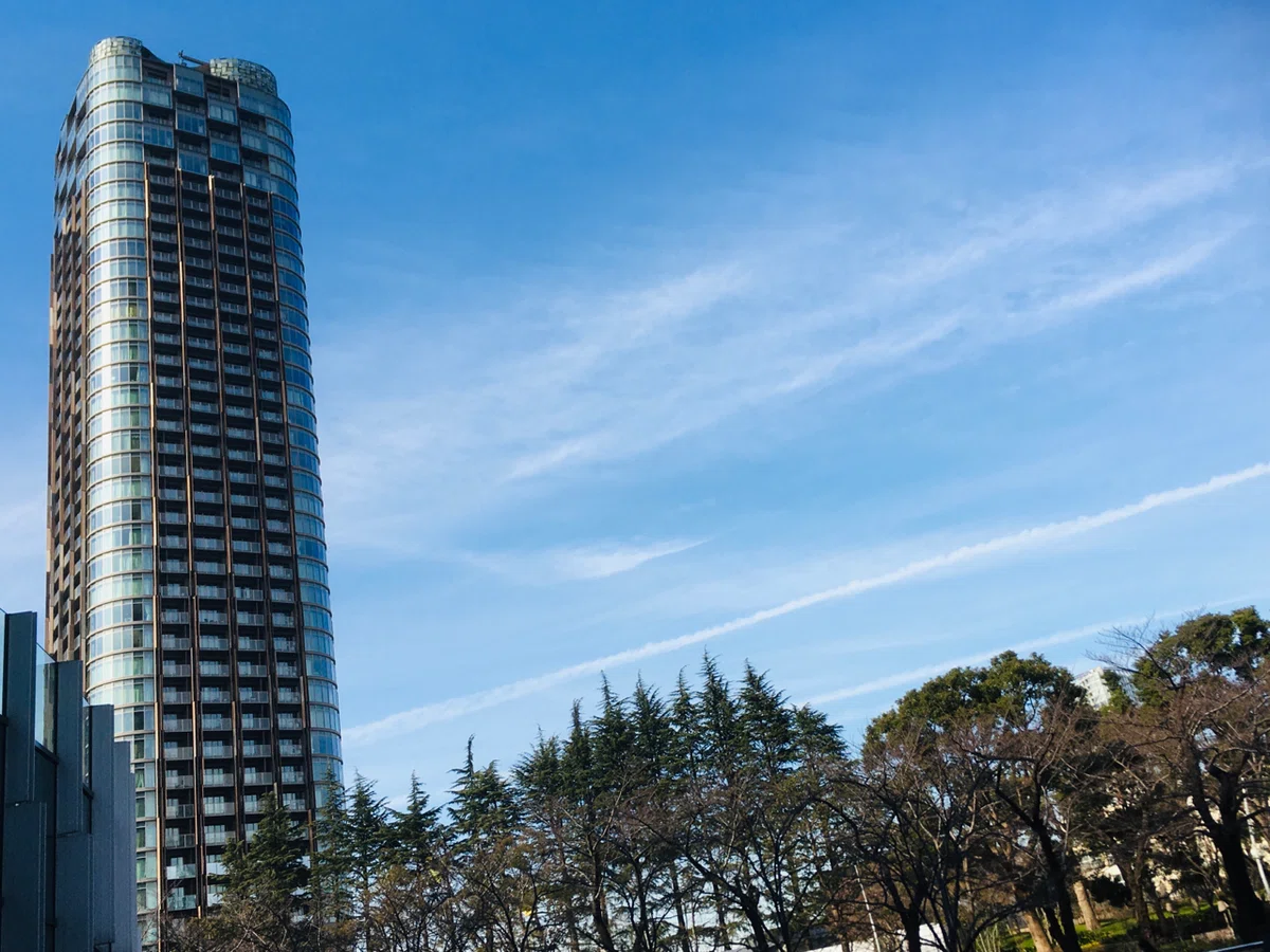 画像6