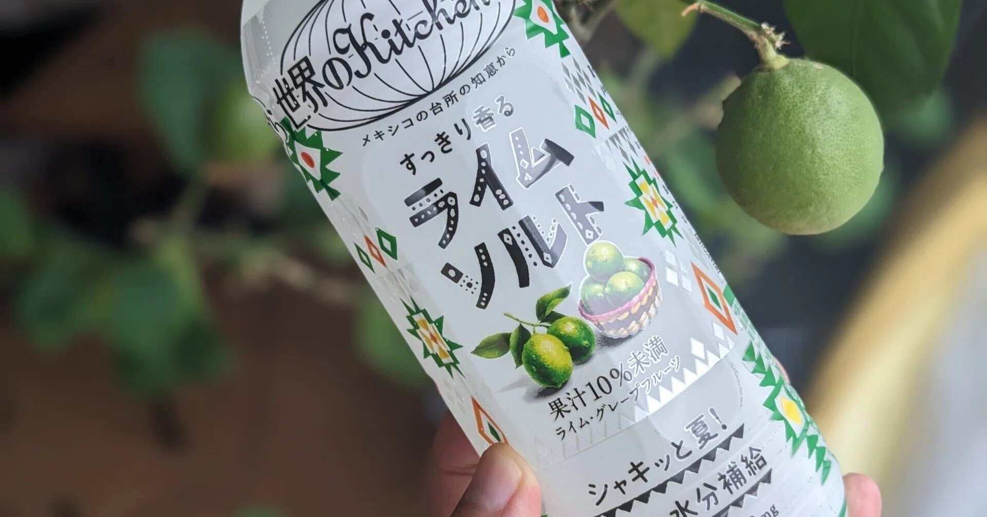 世界のKitchenから ライムソルト」を飲んでみました。つい買っちゃう