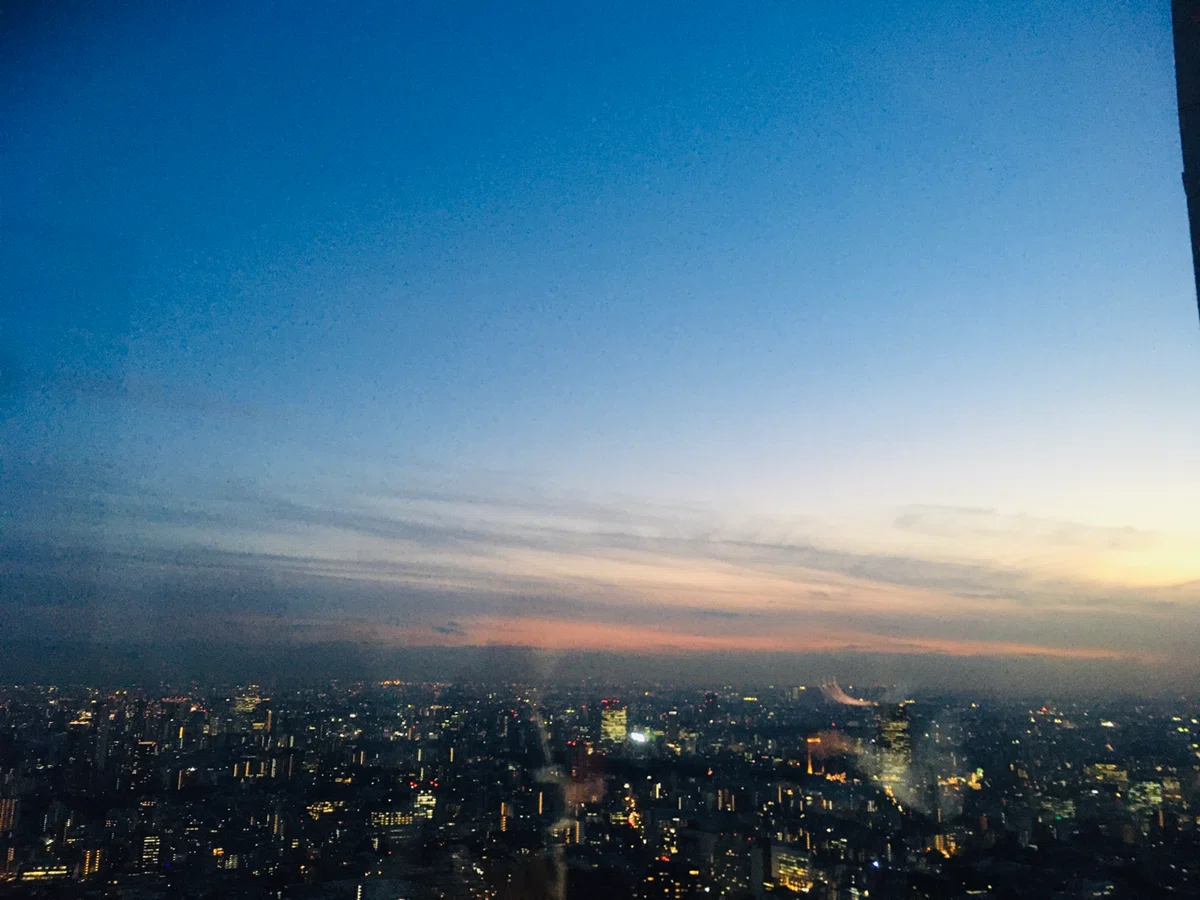 画像15