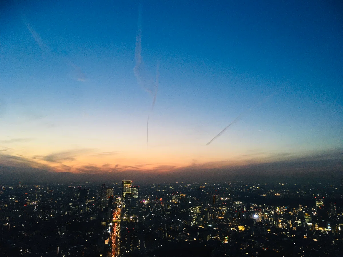 画像17