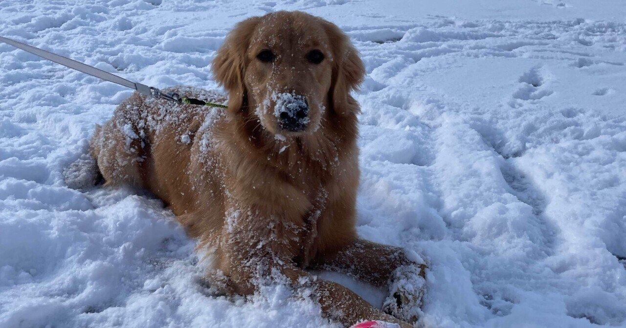 冬の水上ドライブ 2025年1月1日｜Mie