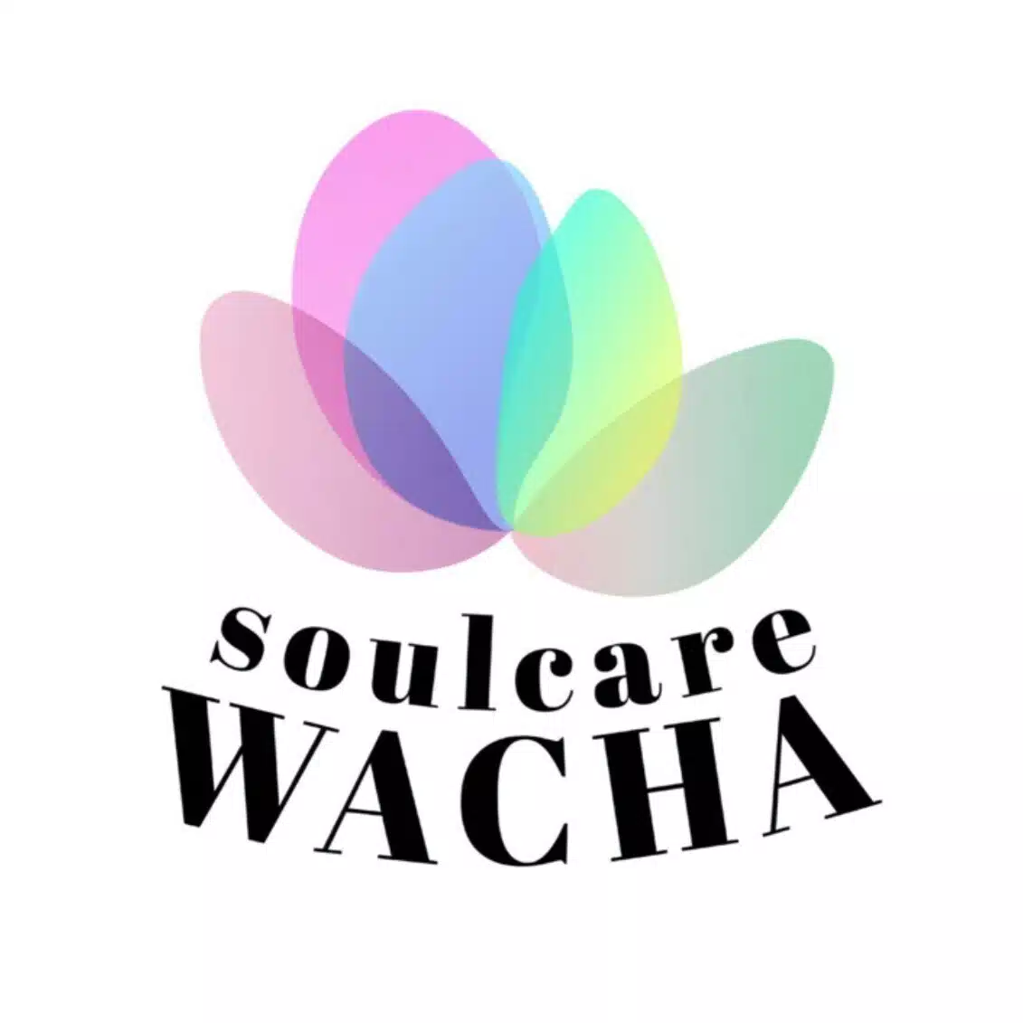 WACHA Founder｜ボタニカル抹茶クリエイター