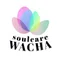 WACHA Founder｜ボタニカル抹茶クリエイター