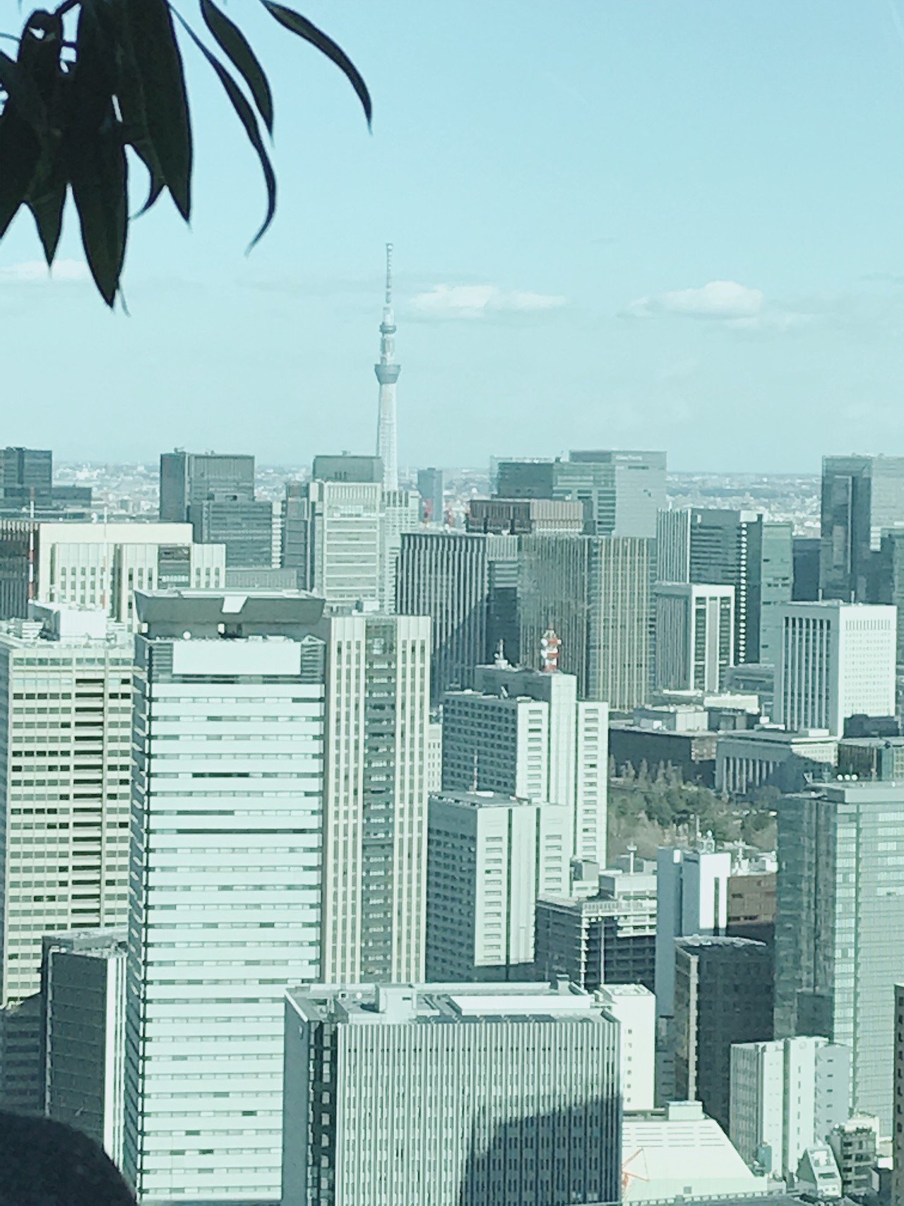 オフィスから アヴェンタドール Note