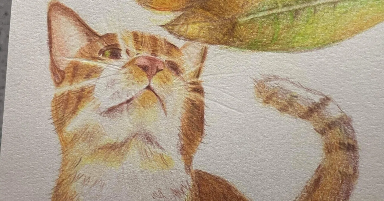 色鉛筆画を描く｜やんちゅ