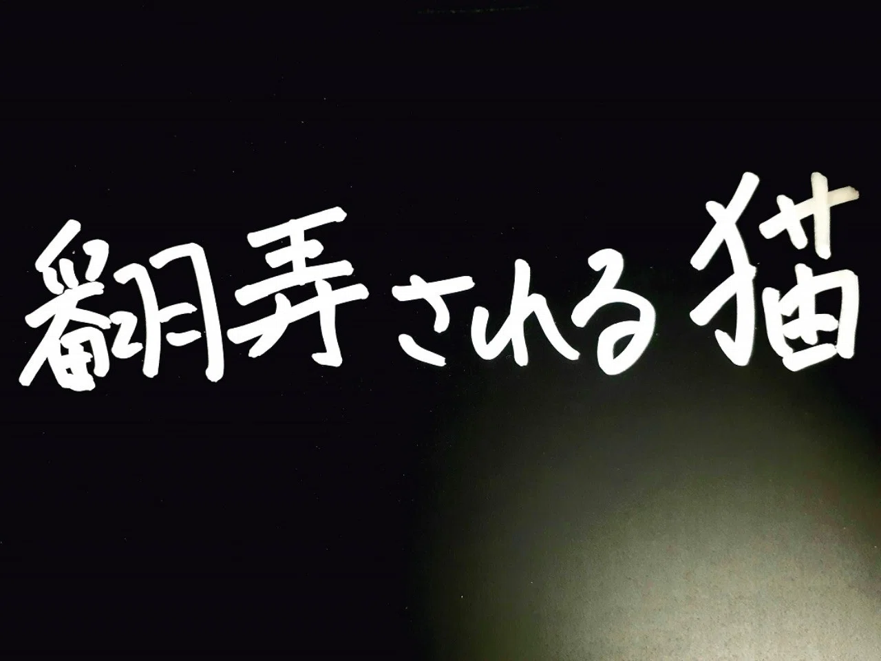 翻弄される猫 神→悪魔→ペットへ｜ゆーご【都市伝説系社会科学】｜note