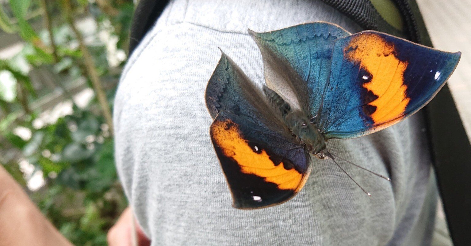 6a16ddbb3d5f948a53adba22c03e16