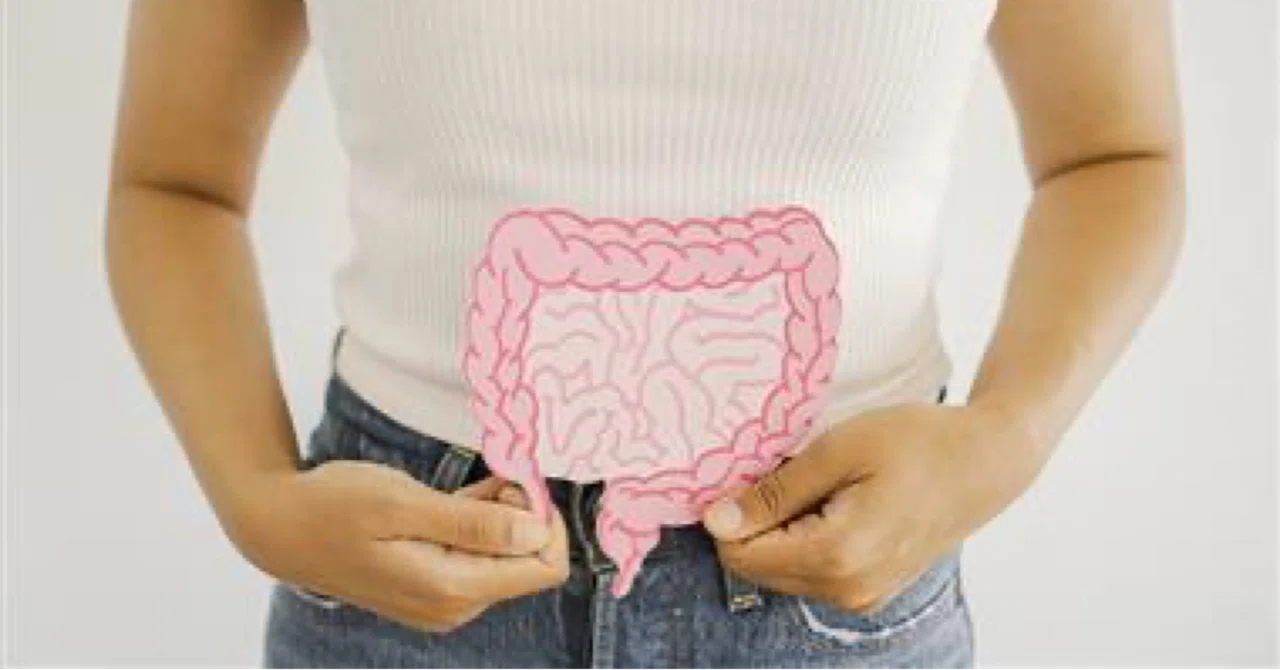 最新｜腸内細菌はストレスへの対処に影響を与える