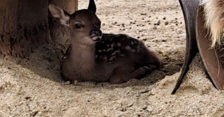 c6906908d3a2c91c583dcf1c4789c5