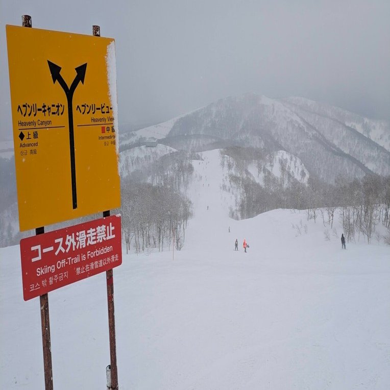 24-25シーズンのスノボ振り返り：スタンス変更による滑走の変化と再