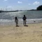 ひかり