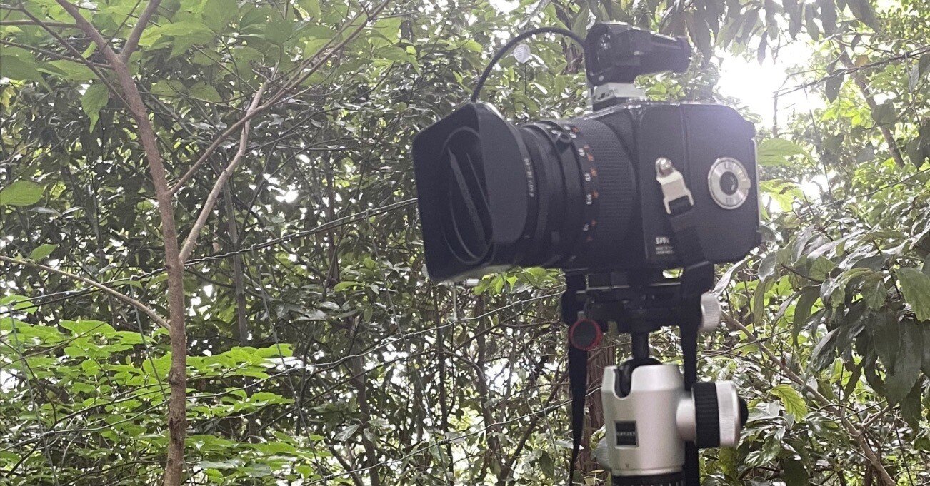 Hasselblad SWC/M とにかくファインダーを見まくる｜鎌倉 フィルムnow!