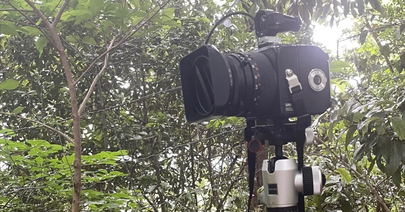 Hasselblad SWC/M とにかくファインダーを見まくる|鎌倉 フィルムnow! Hasselblad SWC/M とにかくファインダーを見まくる|鎌倉 フィルムnow!