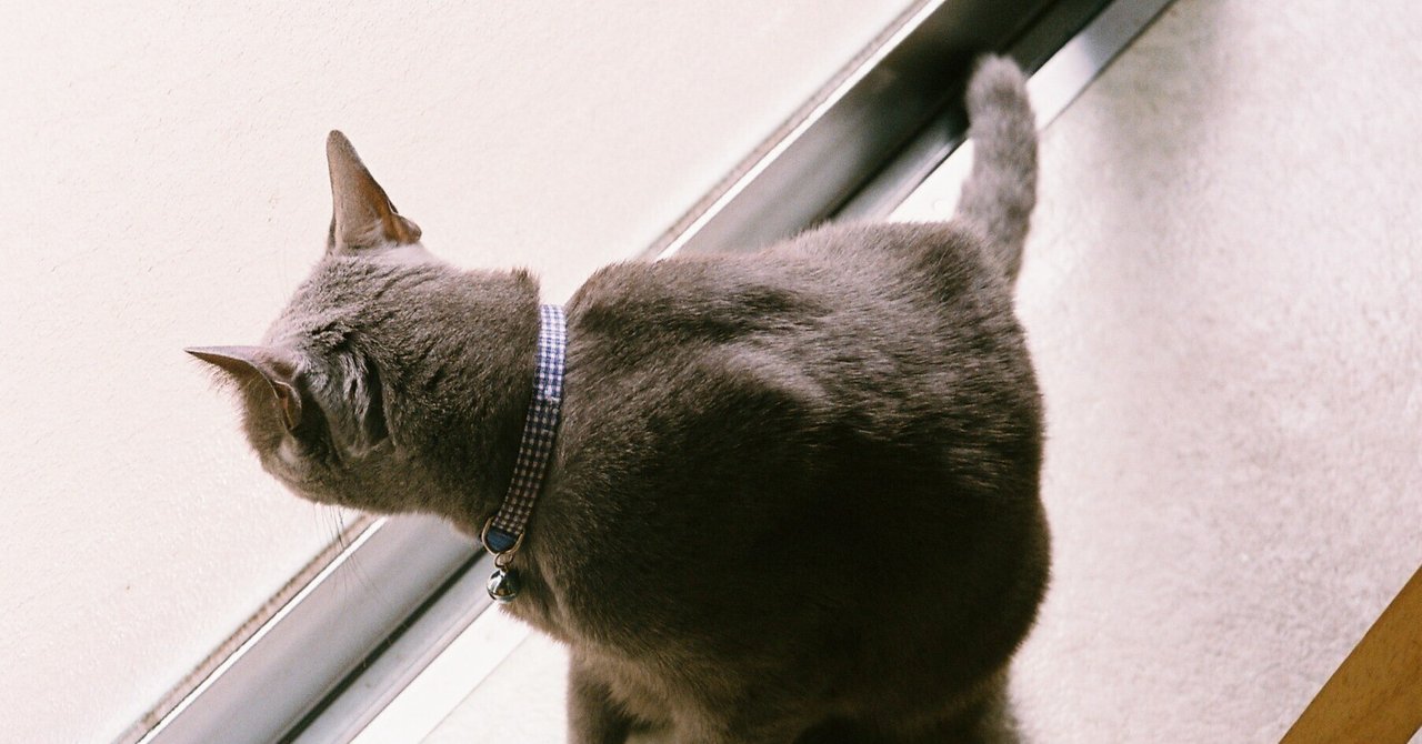 普通のおじさんが税理士目指して25年もかかっちゃった件#77やる気なし造