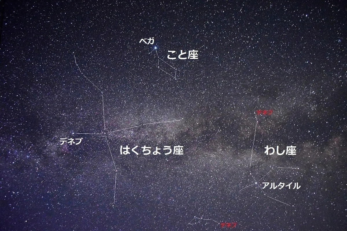 デネブってどの星だ?|ポテト先生@秘密結社ふえがむ