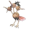 ドードリオ