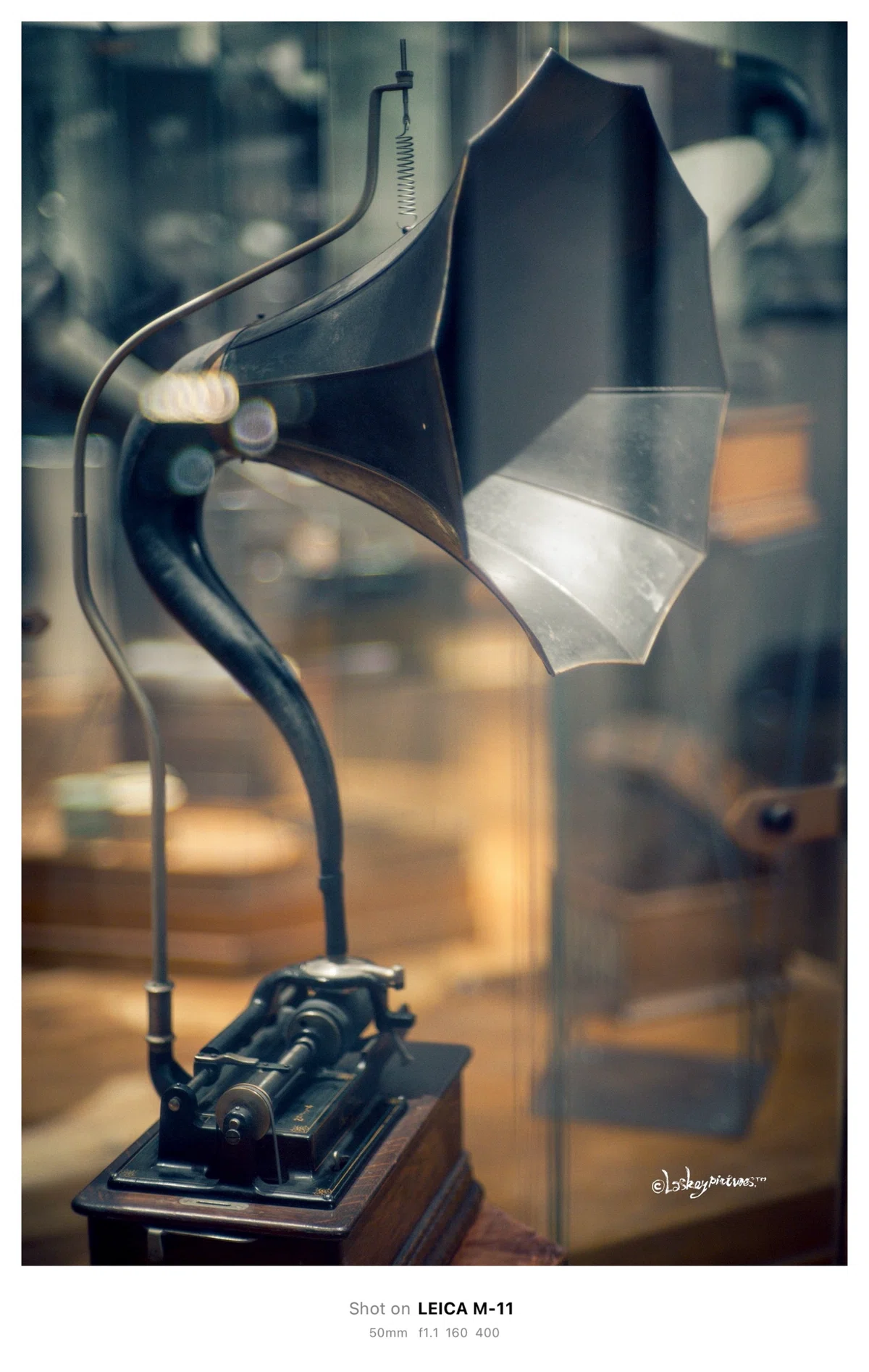 MS-OPTICAL-R&D Sonnetar50mm f1.1で夜を撮る｜Laskeypictures