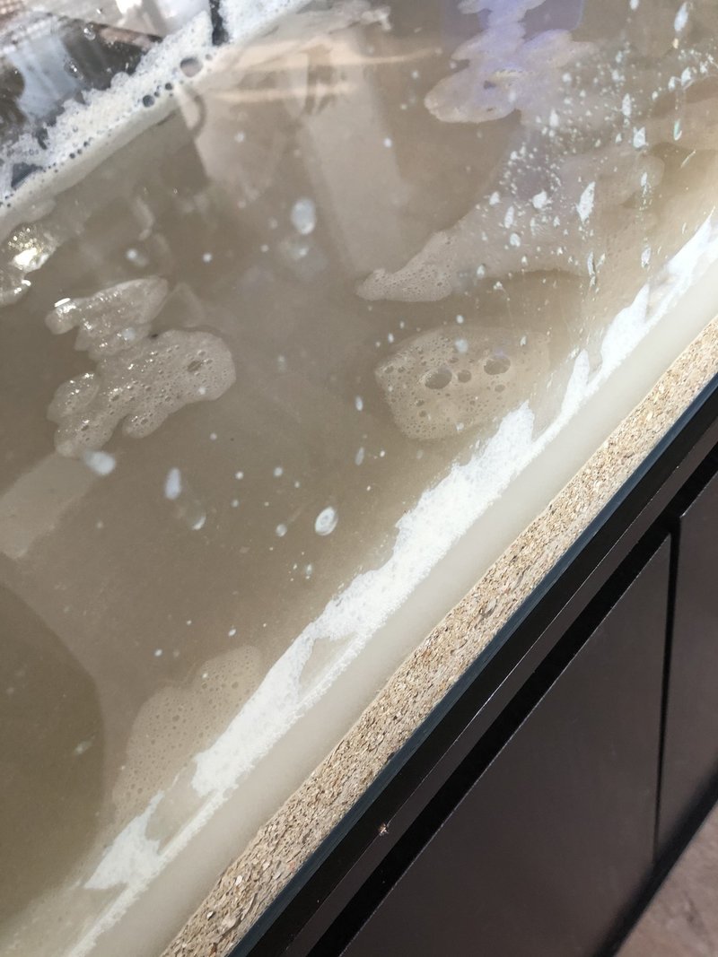 海水水槽を立ち上げます Takashi Suda かんた Note 海水水槽を立ち上げます Takashi Suda かんた Note