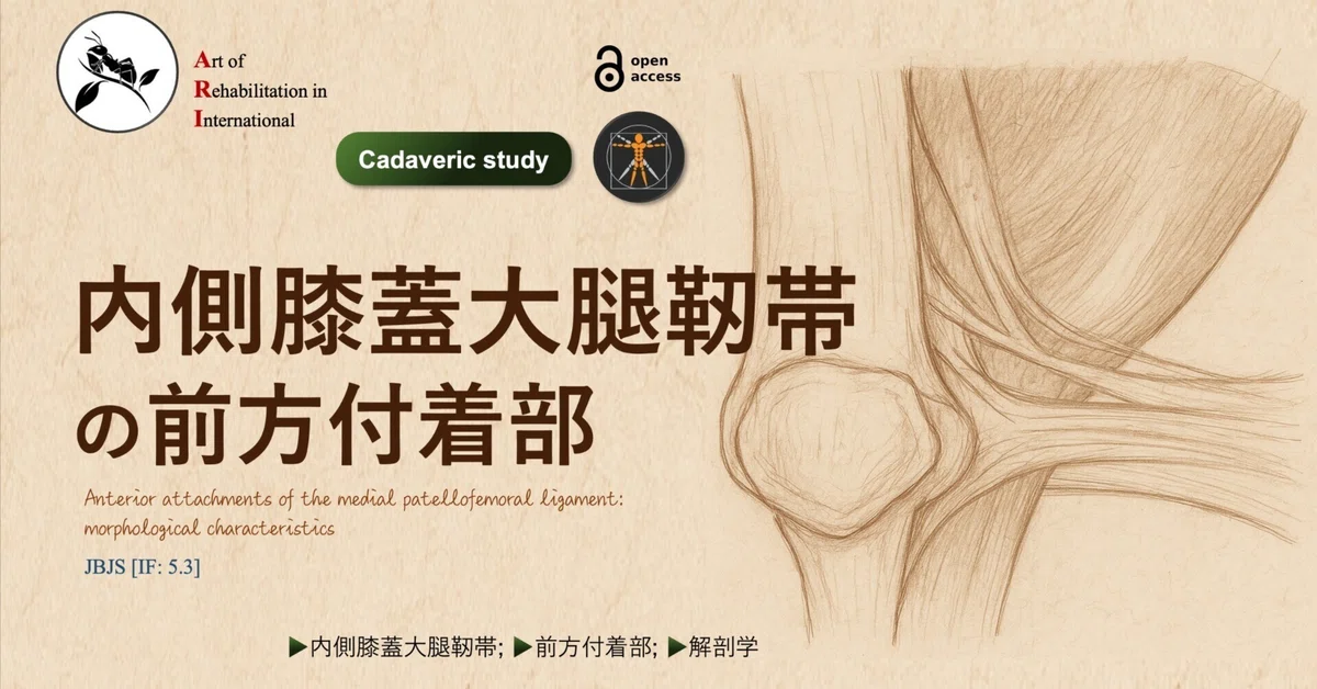 内側膝蓋大腿靭帯の前方付着部|Super Human | 理学療法士/保健学博士 Ph.D.