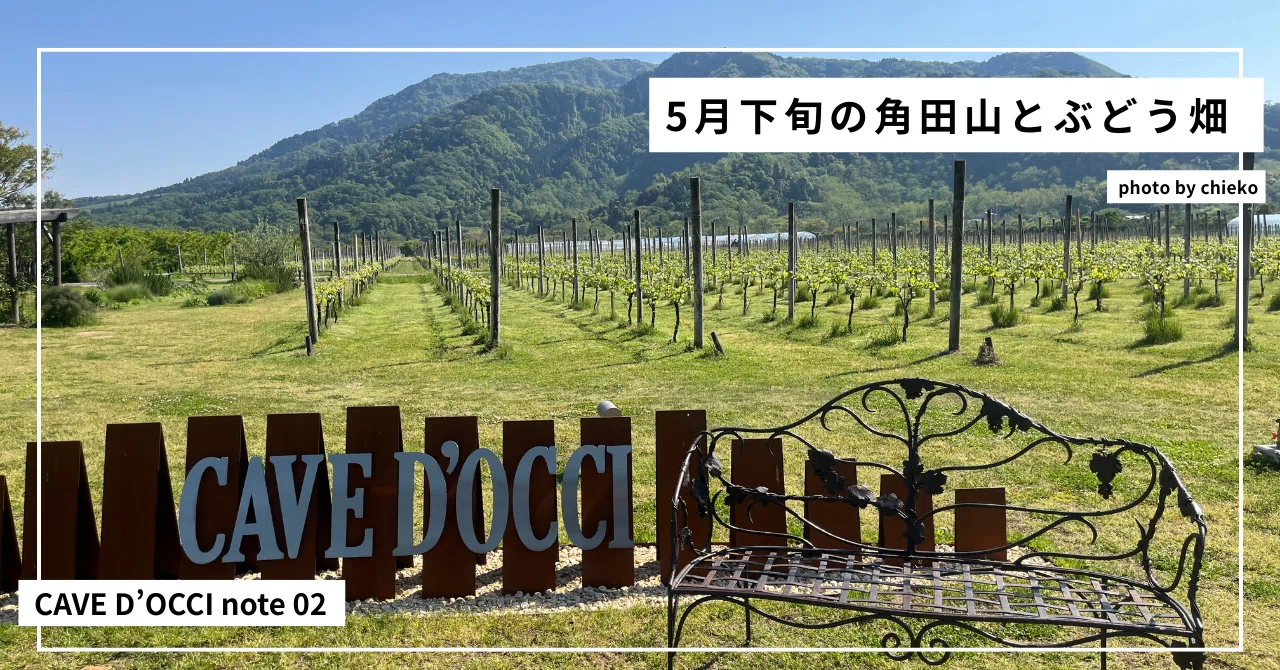 02 ワイナリーとバラの秘密／専業主婦の起業物語｜掛川千恵子