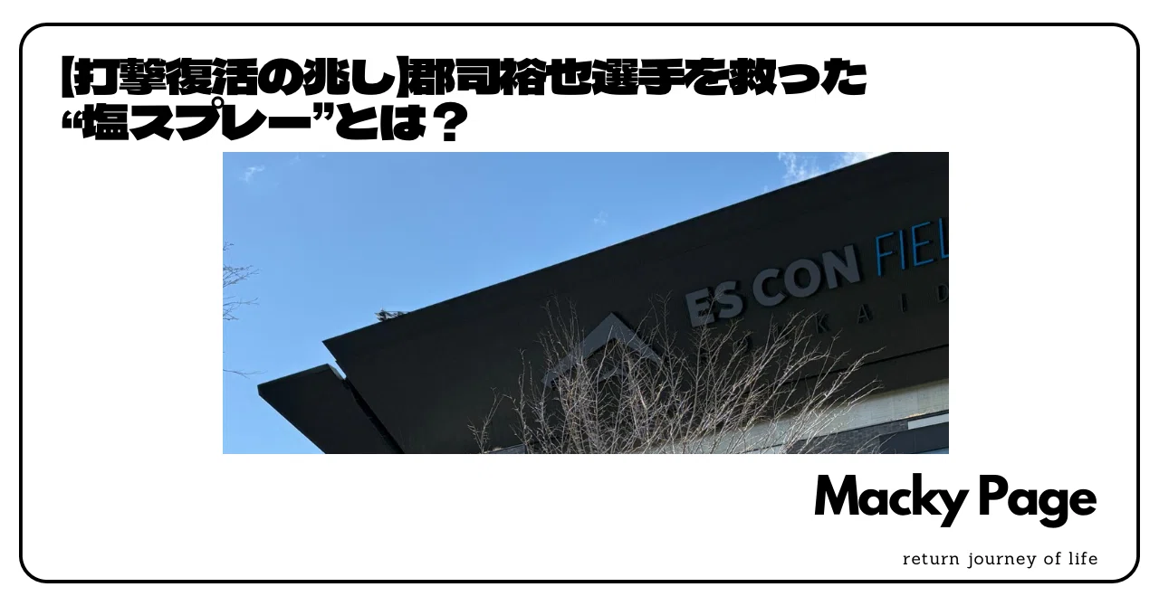 見出し画像
