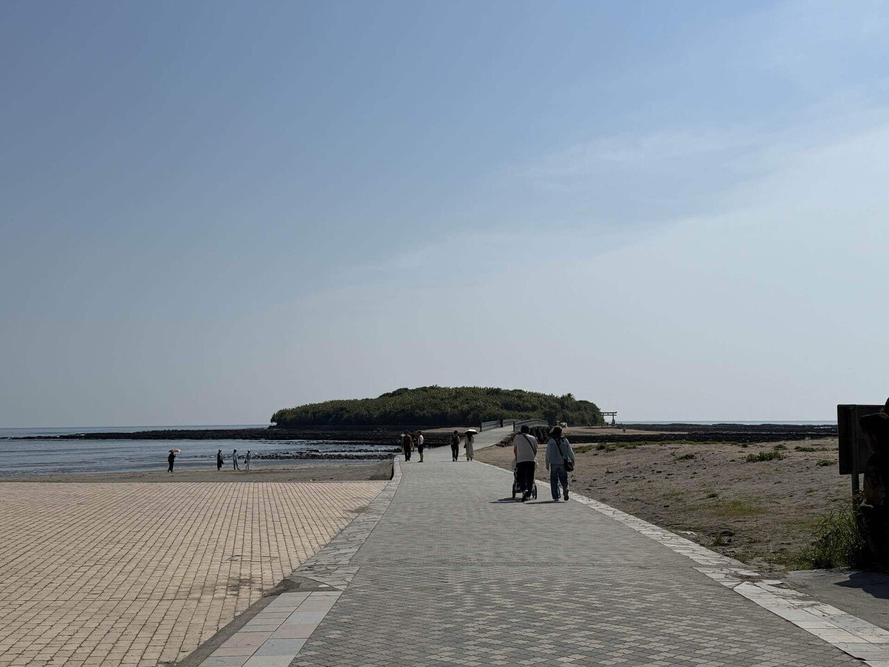 579 晴れの海に囲まれた夏の島・宮崎青島を歩く｜ミヤコカエデ（Miyako