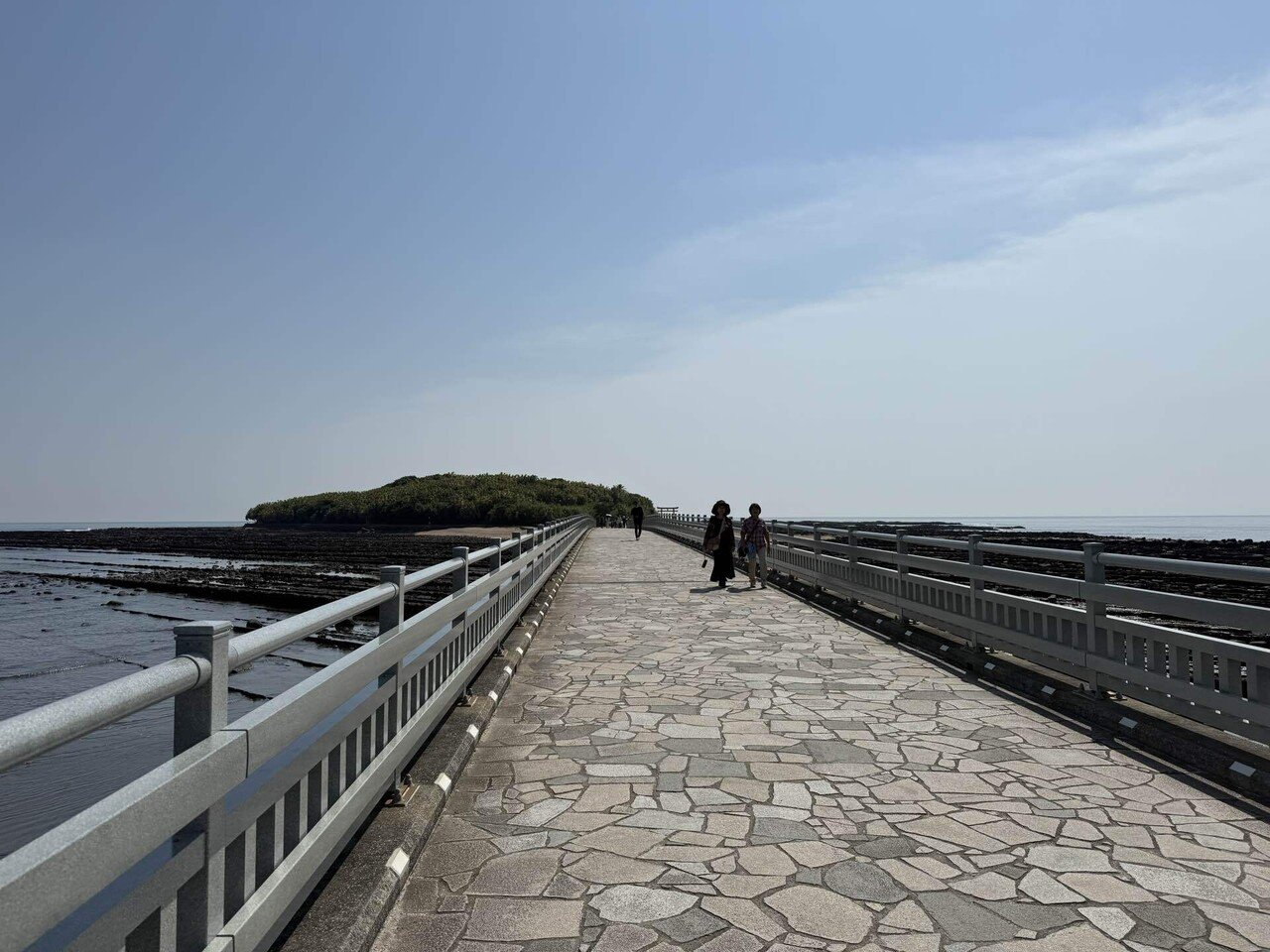 579 晴れの海に囲まれた夏の島・宮崎青島を歩く｜ミヤコカエデ（Miyako