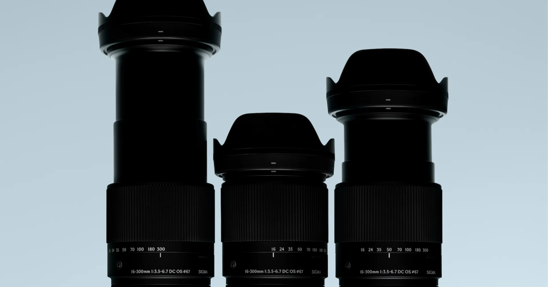 1本で全部撮れる神レンズ】Sigma 16-300mm F3.5-6.7 DC OS