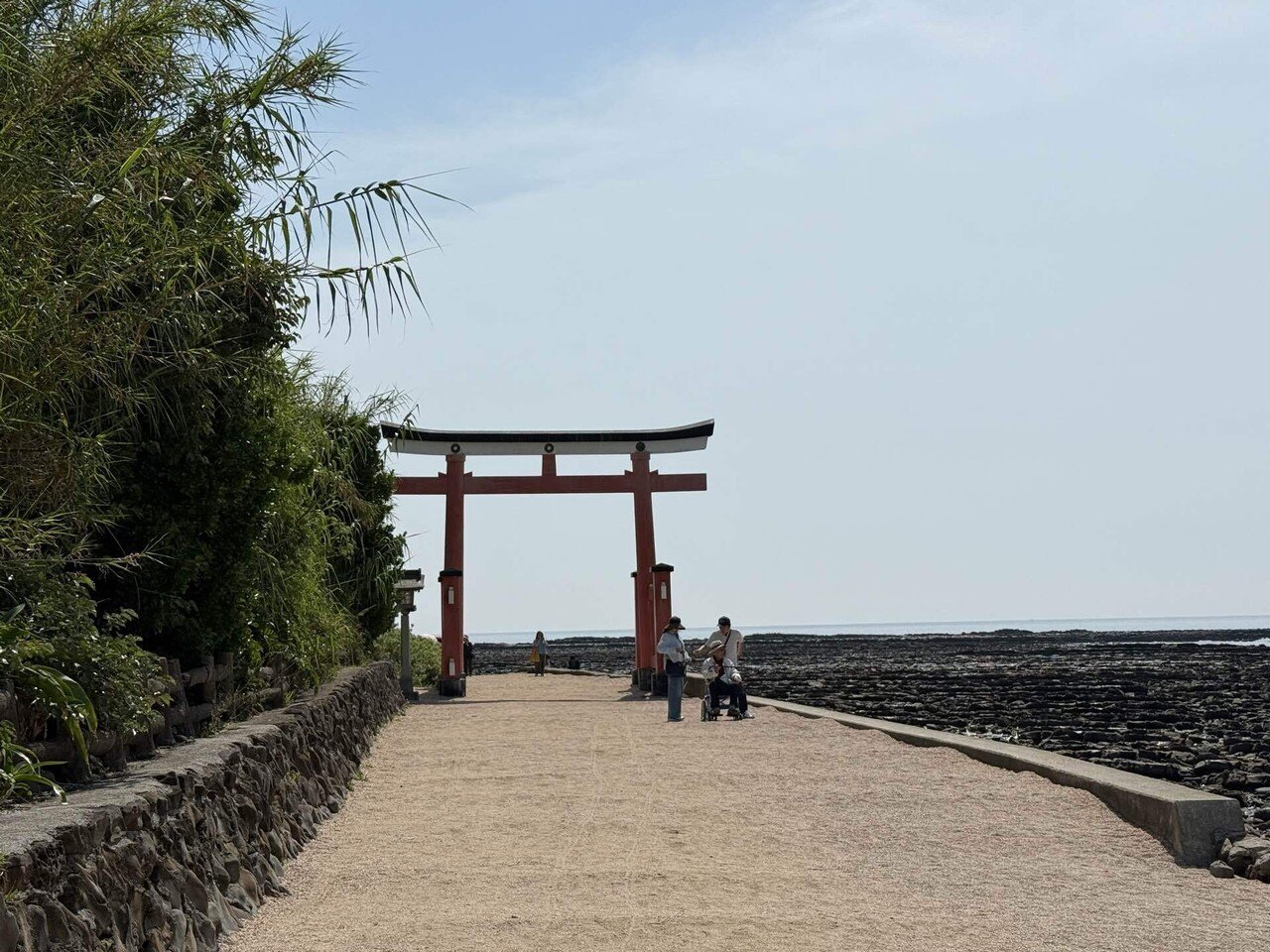 579 晴れの海に囲まれた夏の島・宮崎青島を歩く｜ミヤコカエデ（Miyako