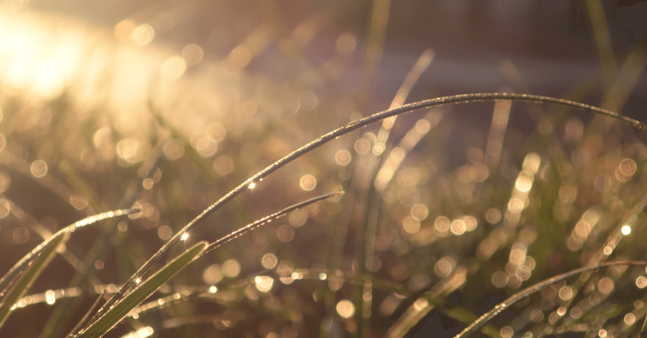 人生を幸せに生きる究極奥義《人の可能性を開く意識改革コーチ》ワイズウィル