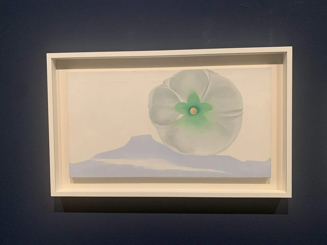 オキーフ画集 花 大型本 オキーフ画集 「花」 100頁 ニコラス・キャラ