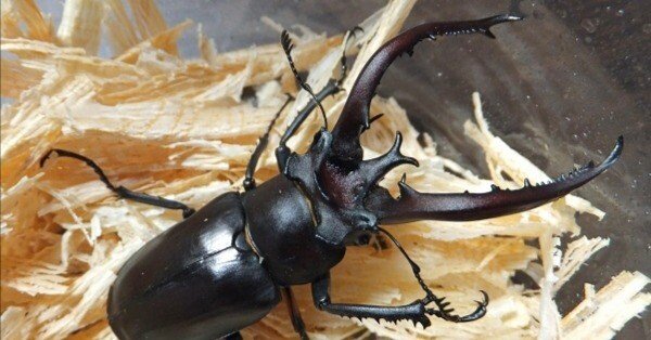 6813ad38223382684fc3e1aeda28aa