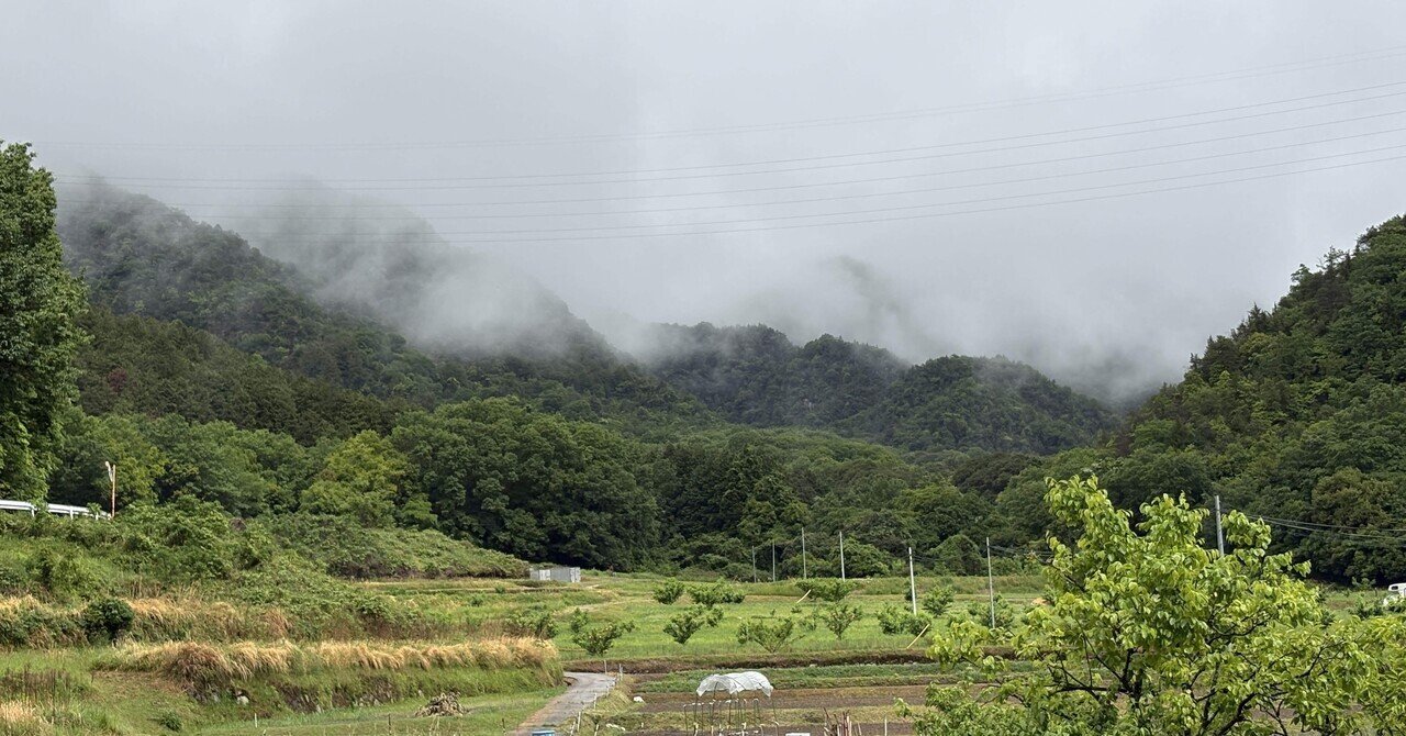 2025年5月17日：新緑が目に沁みます。｜知楽通信