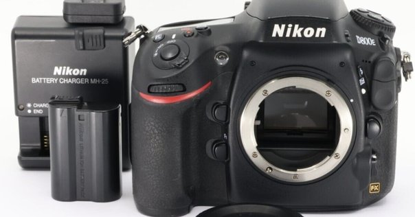 愛機D80は貴重なCCDセンサー搭載のじゃじゃ馬モデルなの｜Tarciel