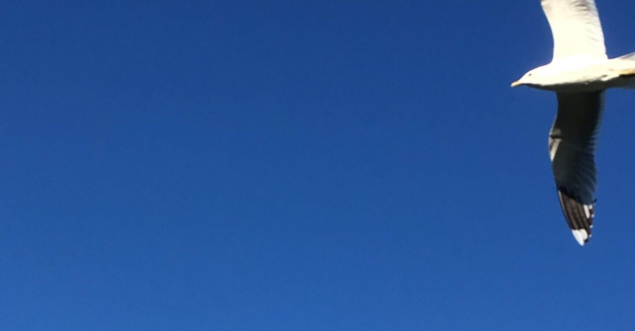 ［音楽］　あんずノオト「遠泳」あんずノオト
