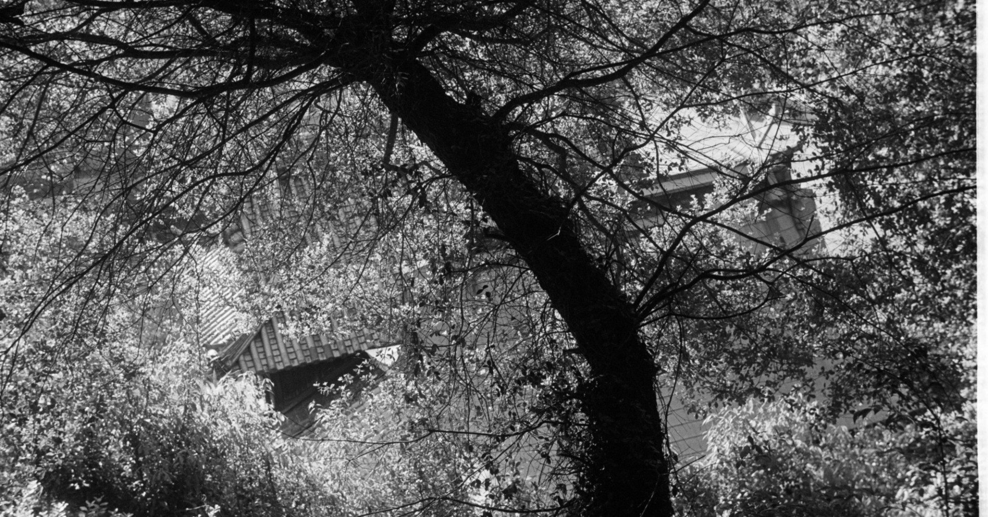 0c34df9d322f2dde3e86f03f8245dc