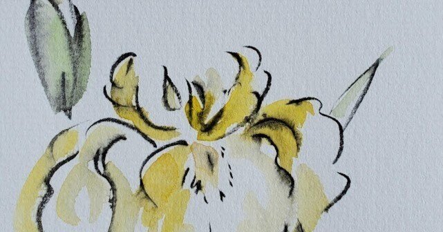 筆ペンと水彩絵の具でお花のイラスト5分で描く🌸｜こうこ