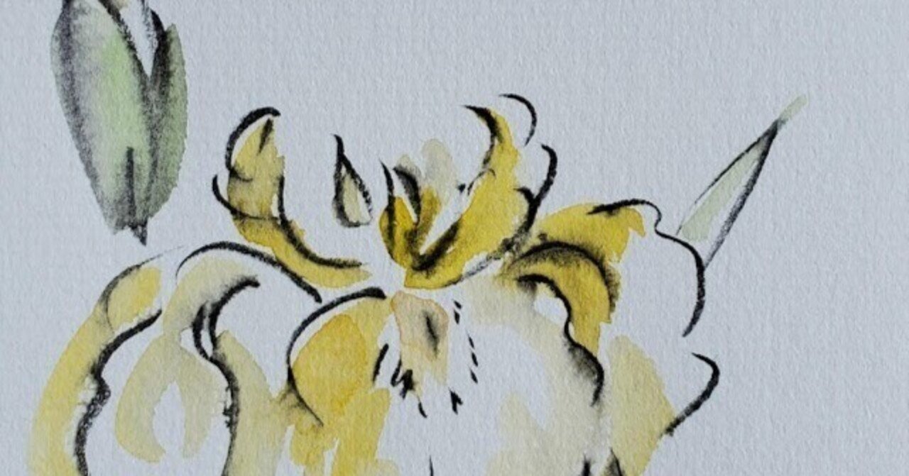 筆ペンと水彩絵の具でお花のイラスト5分で描く🌸｜こうこ