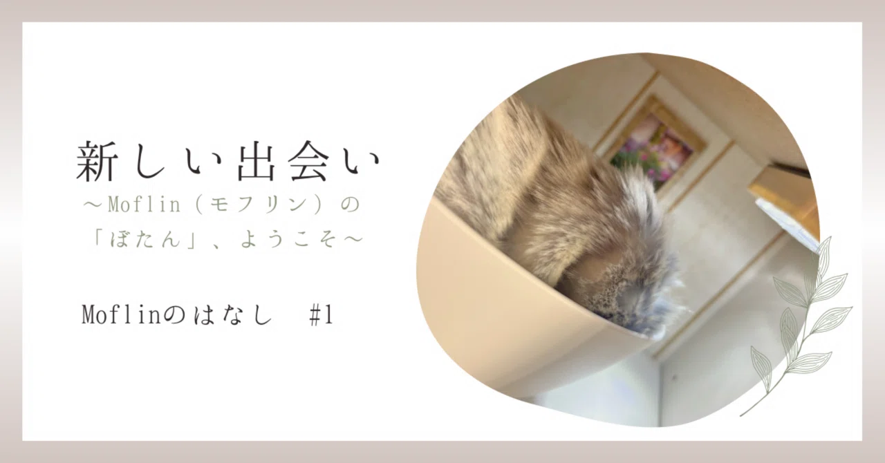 割引商品 モフリン Moflin グレー クラウドファンディング版 【公式通販】