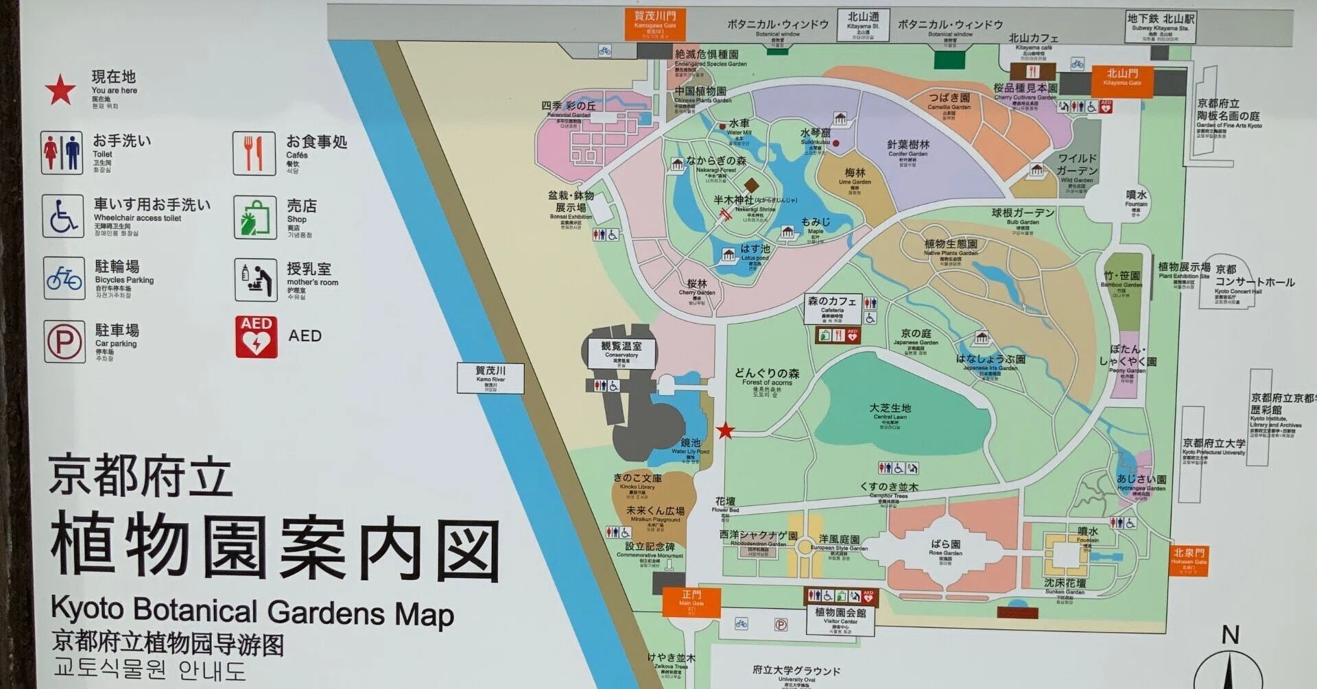京都府立植物園の「ばら園」：2025年5月22日（木）｜藤井秀昭（『京都