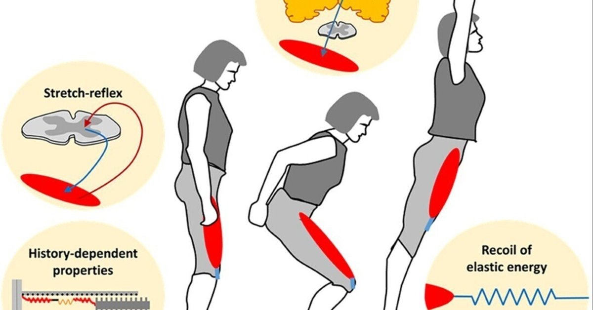 ジャンプ力を上げるトレーニング Amazon.co.jp: ジャンプ力を上げるトレーニング-筋力やパワーの