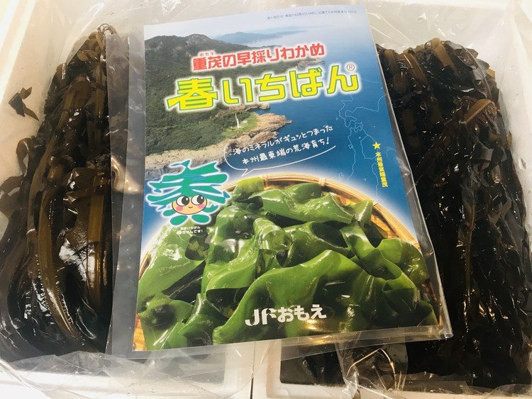 毎年恒例、三陸　重茂産早採りワカメ『春いちばん』美味しいワカメを育てる為に適宜収穫された新ワカメ。地元にしか出回らなかった期間限定、初春の海の恵みをどこにいても味わえるありがたさ。