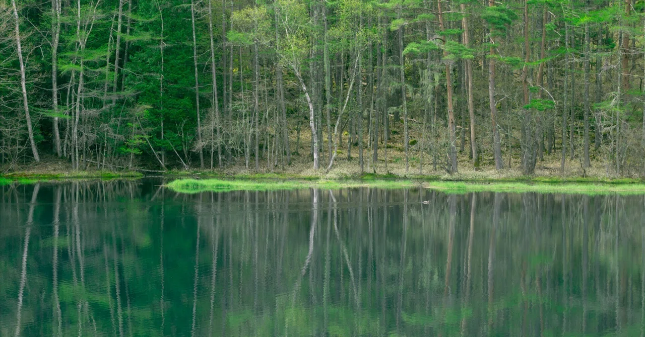 静寂に包まれた美しき鏡面――御射鹿池を訪れて｜Woody