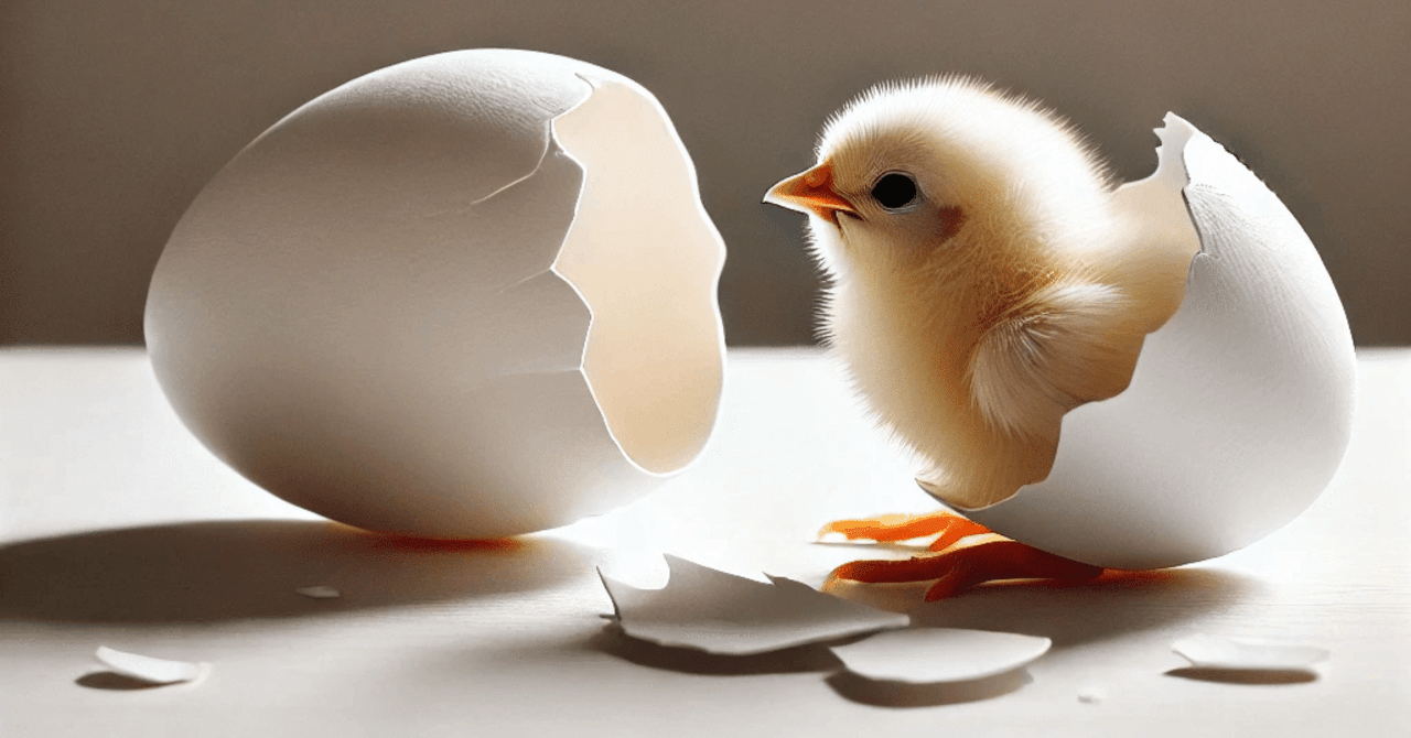 未経験・無資格・30代主婦のキャリアチェンジみい人事2万名のキャリアチェンジに伴走した元デザイナー