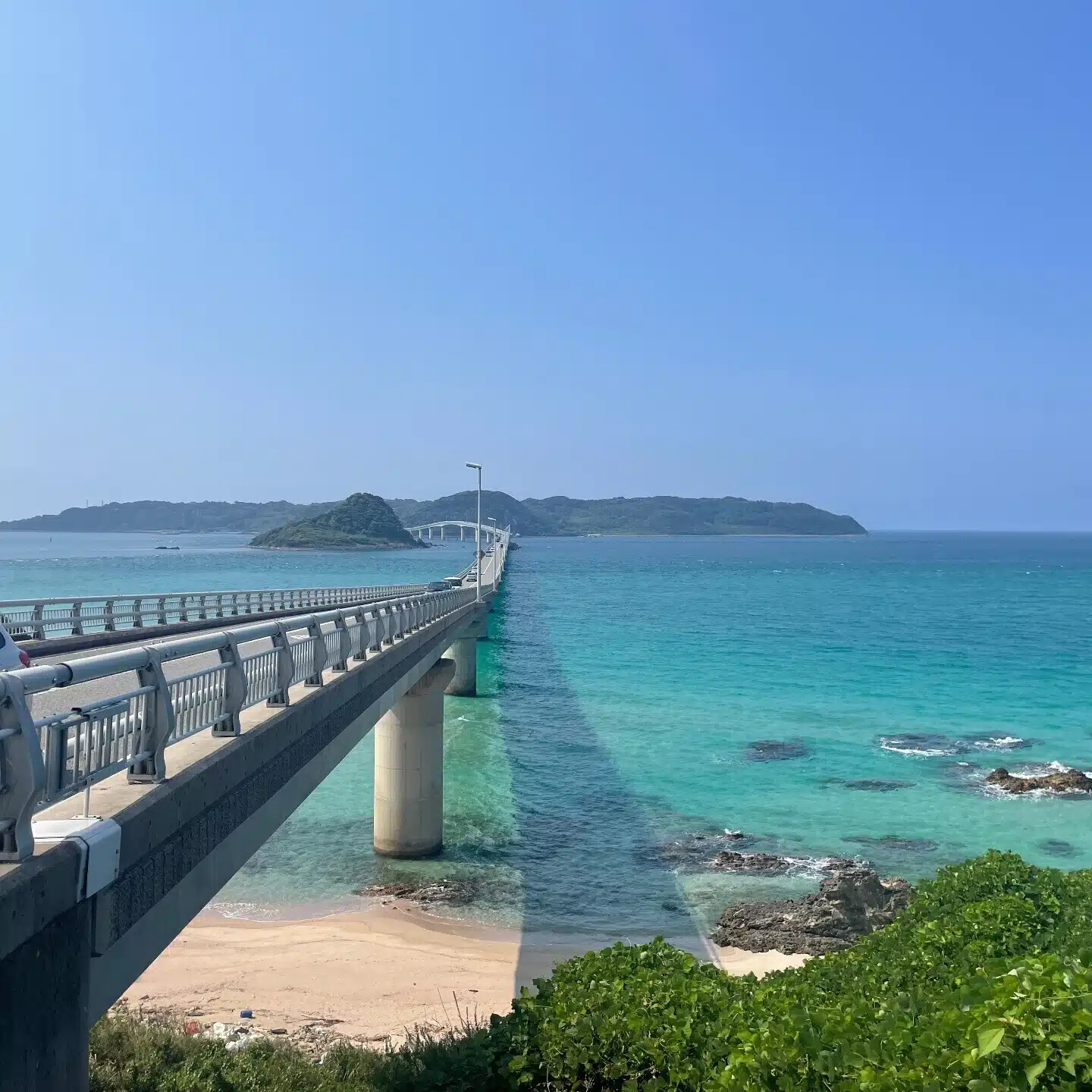 茶柱のひとりごと