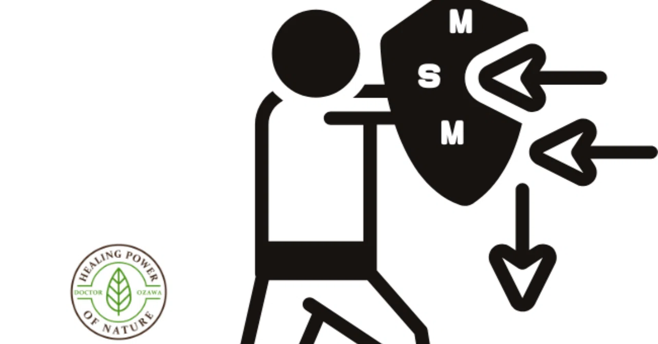 最新｜MSMが支える3つの“バリア機能”とは？ 〜腸・肌・関節を内側から守る「硫黄」のチカラ〜