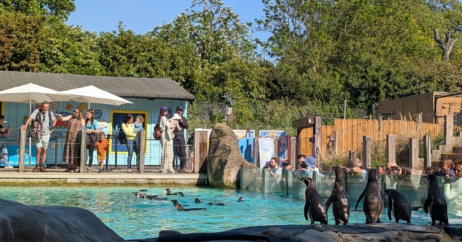 Sleepover in the Zoo: Insights into Animal Welfare｜つかさまき